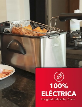 Freidora de aceite Rca 3 L Rc-Df303