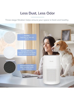 Purificador de aire Levoit Core Mini