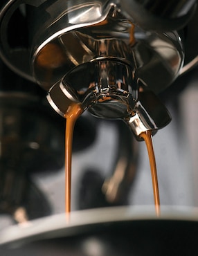 Cafetera espresso Breville The Barista Series BES880BSS1BUS1