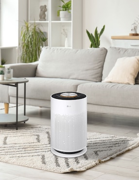 Purificador de aire LG AS601HWA0