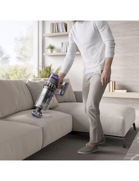 Aspiradora ciclónica Dyson outsize plus extra sv29 1 litro