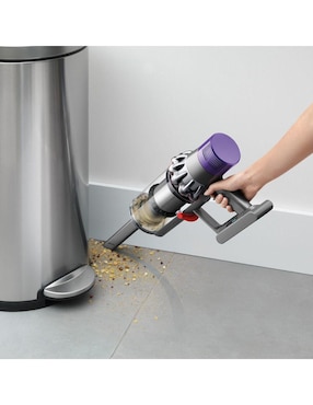Aspiradora ciclónica Dyson outsize plus extra sv29 1 litro