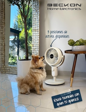 Ventilador 3 en 1 Beckon 3 velocidades