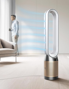 Purificador de aire Dyson Purifier Cool PC2 De-NOx TP12 US/CO/MX WH/GD