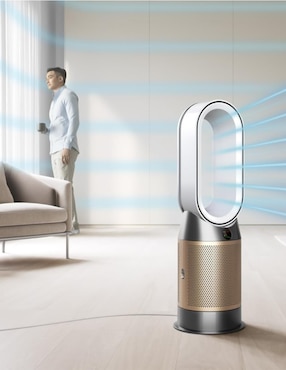 Purificador de aire Dyson Hot+Cool HP2 De-NOx
 HP12 US/MX WH/GD