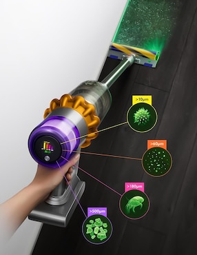 Aspiradora ciclónica Dyson v15 detect 750 ml