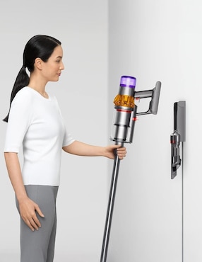 Aspiradora ciclónica Dyson v15 detect 750 ml