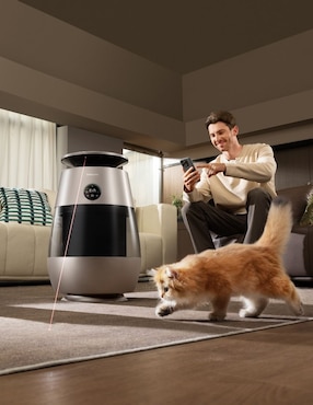 Purificador Dreame CVF61A