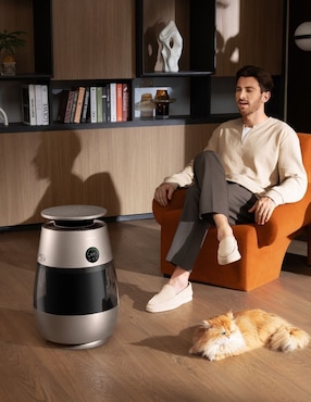Purificador Dreame CVF61A