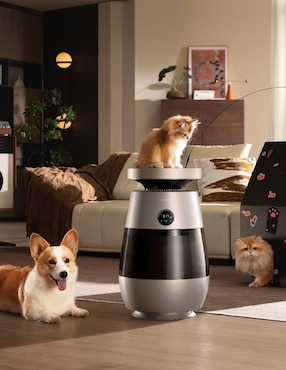 Purificador Dreame CVF61A