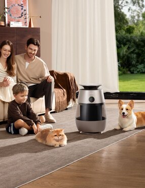 Purificador Dreame CVF61A