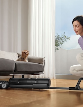 Aspiradora Dreame Dreame H12 Pro FlexReach Wet and Dry Vacuum 760 ml