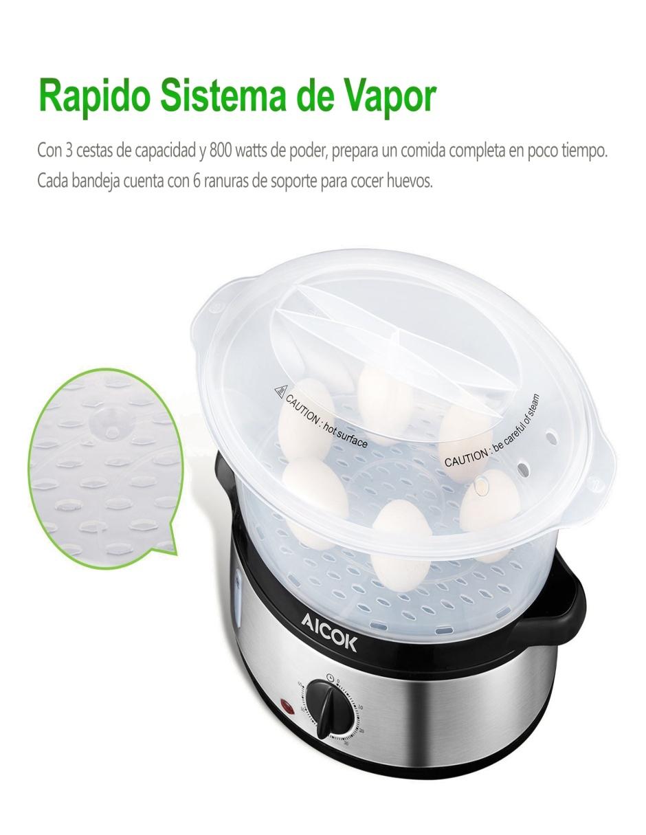 Vaporera Eléctrica VE4401 4