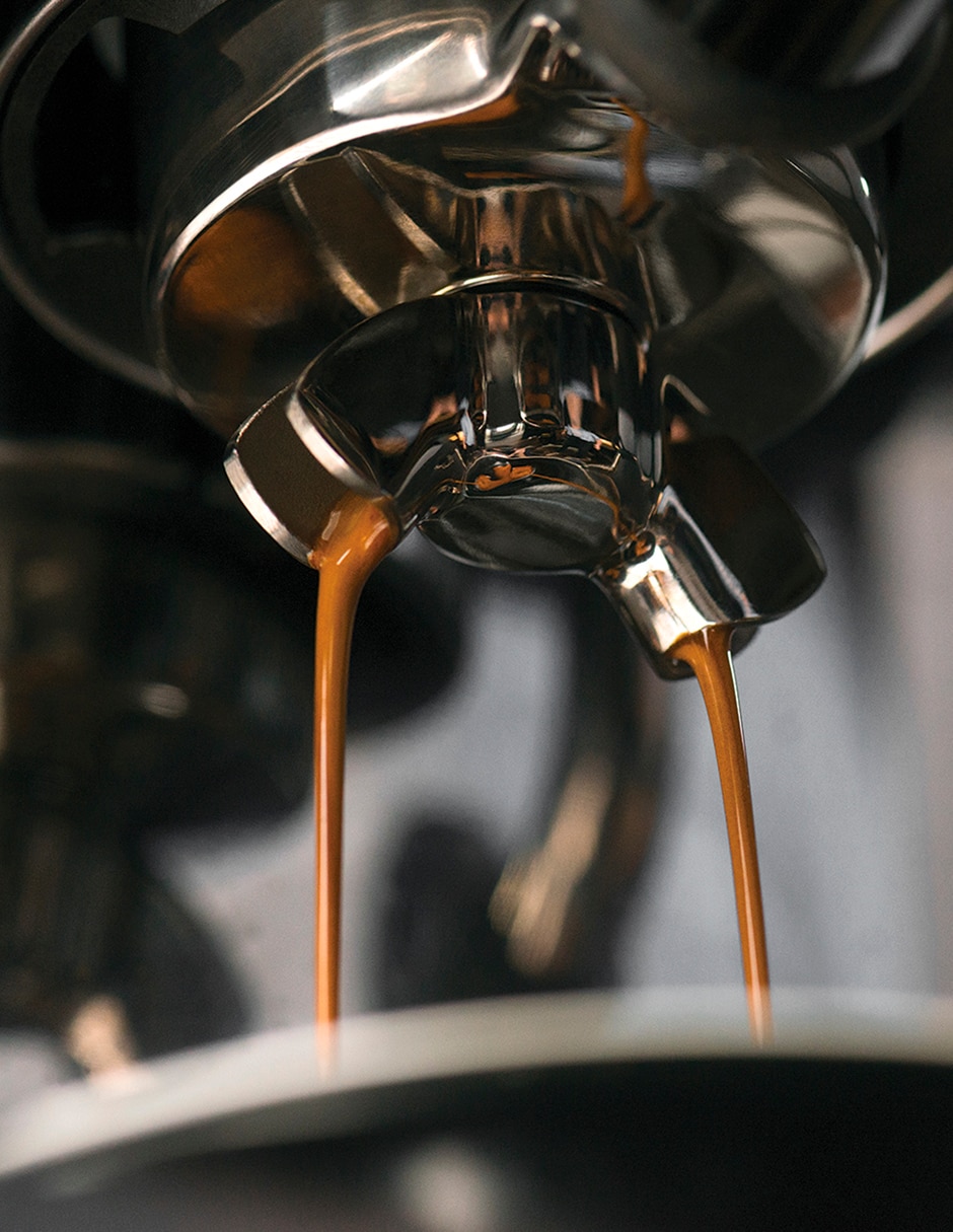 Cafetera espresso The Barista Series BES880BSS1BUS1 4