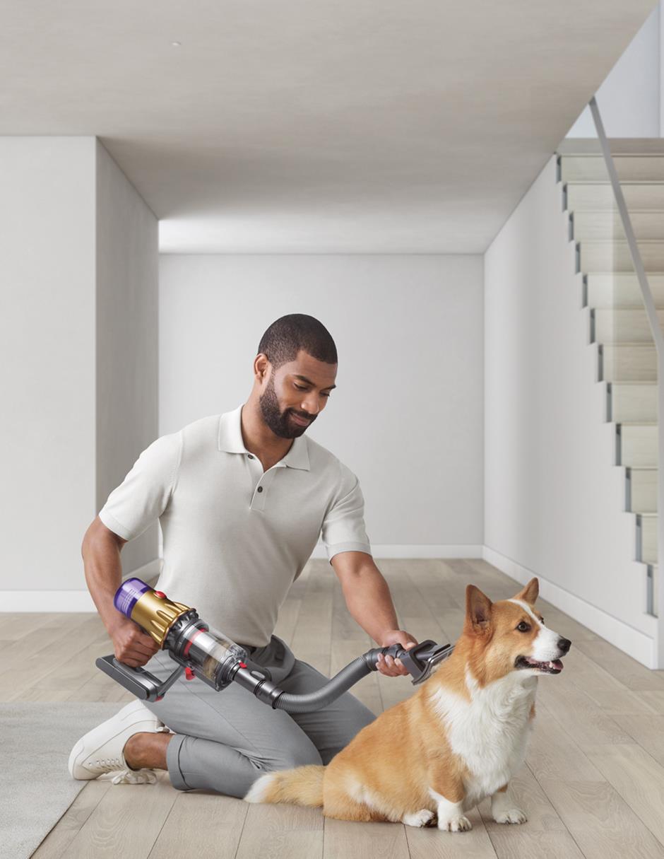 Cepillo Pet grooming kit con cerdas rígidas 3