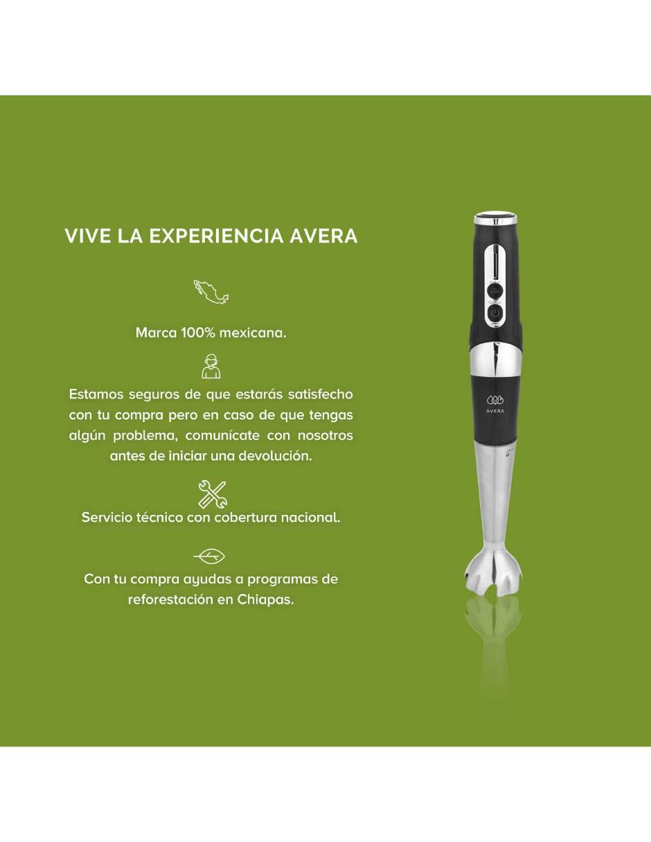 Batidora de inmersión 16 velocidades Bi01 8