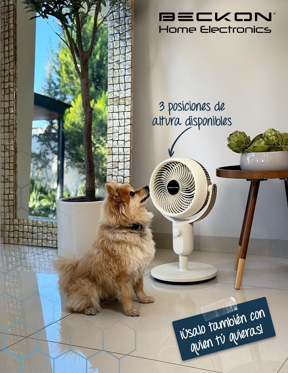 Ventilador de pedestal 3 velocidades 6