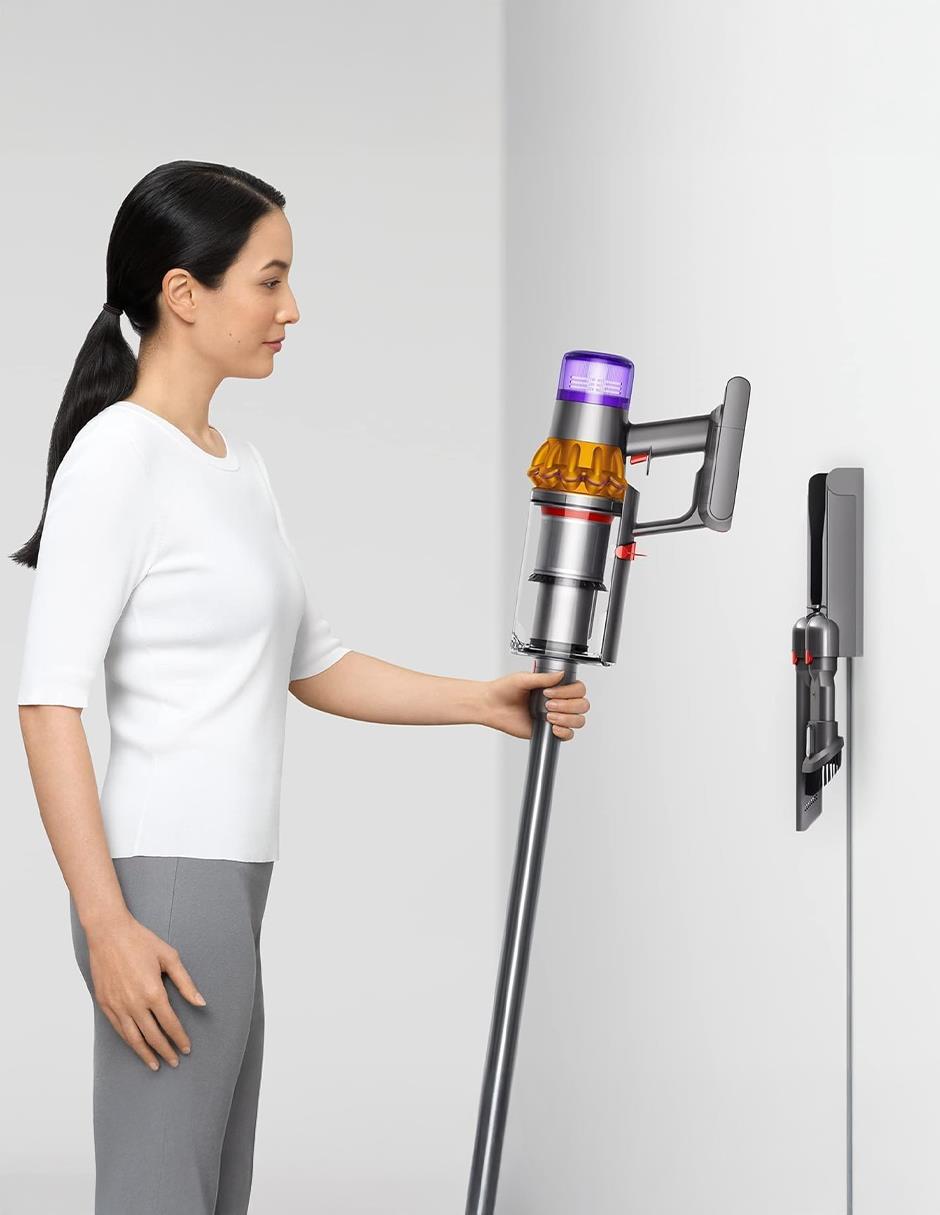 Aspiradora ciclónica v15 detect 750 ml 5